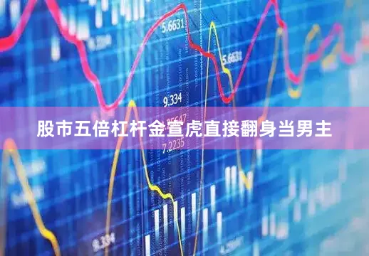 股市五倍杠杆金宣虎直接翻身当男主
