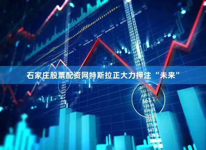 石家庄股票配资网特斯拉正大力押注 “未来”